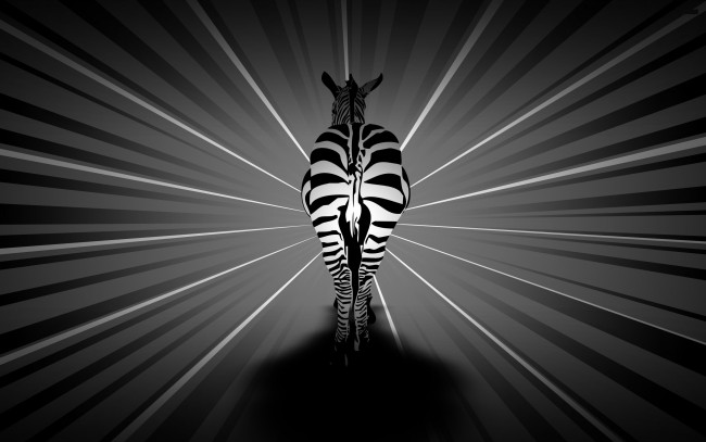 Обои картинки фото рисованные, минимализм, лучи, зебра