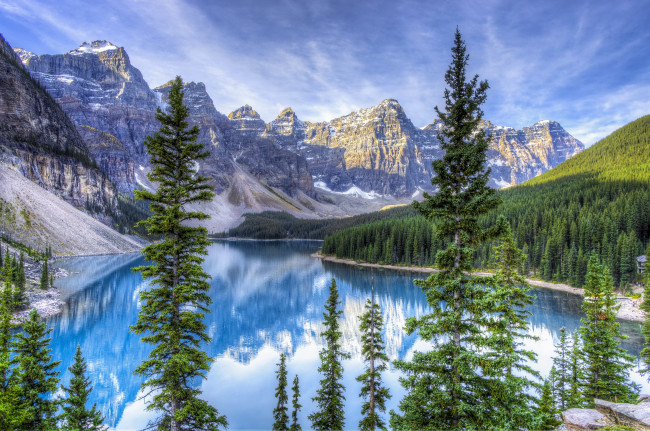 Обои картинки фото природа, реки, озера, горы, лес, пейзаж, озеро, цветы, ели