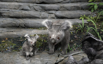 Картинка 3д+графика животные+ animals коалы