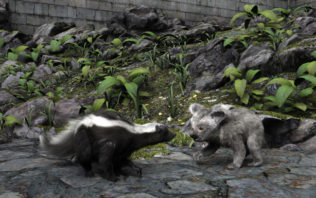 Обои картинки фото 3д графика, животные , animals, коалы