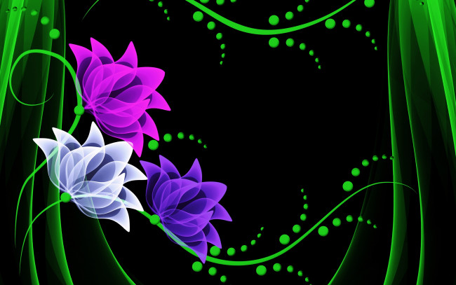 Обои картинки фото векторная графика, цветы , flowers, цветы, лепестки, фон