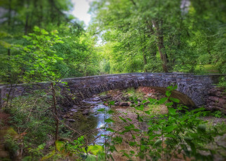 Картинка природа реки озера река лес