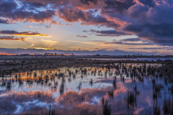 Картинка природа реки озера лес река