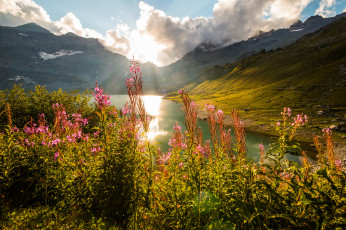 Картинка природа реки озера река лес