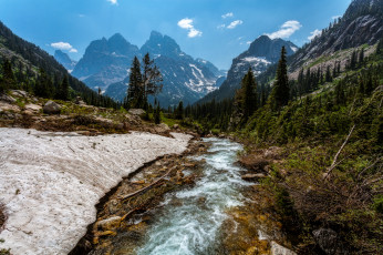 Картинка природа реки озера река лес