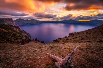 Картинка природа реки озера река лес