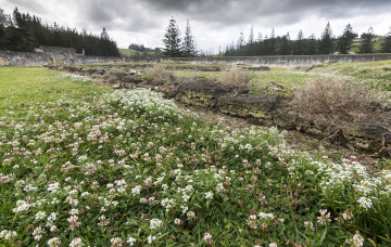 Картинка природа реки озера лес река