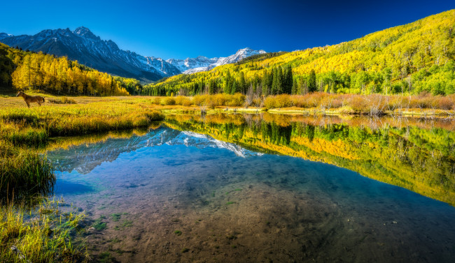 Обои картинки фото природа, реки, озера, река, лес