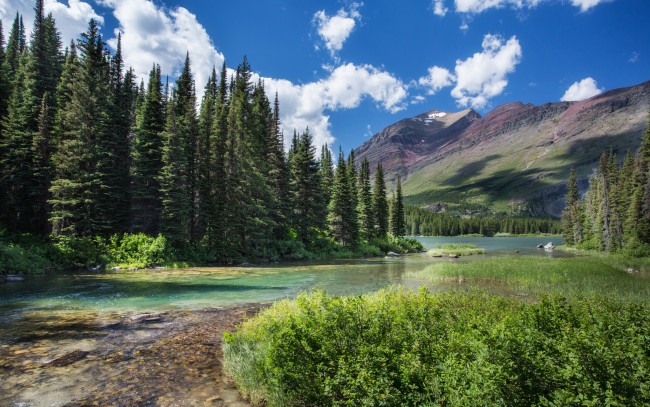 Обои картинки фото природа, реки, озера, река, лес