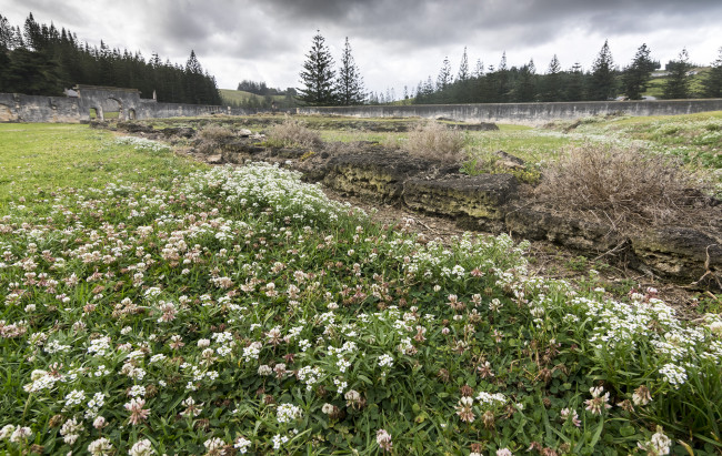 Обои картинки фото природа, реки, озера, лес, река