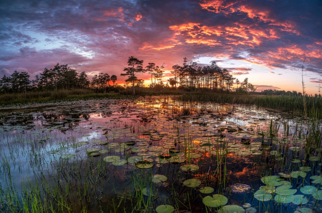 Обои картинки фото природа, реки, озера, река, лес