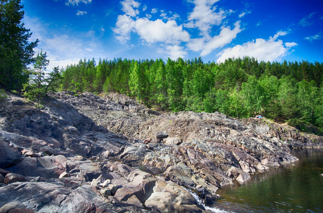 Обои картинки фото природа, реки, озера, река, лес