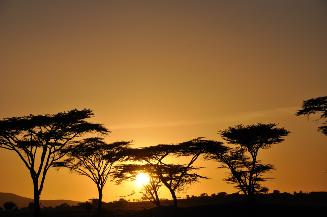 Обои картинки фото природа, восходы, закаты, рассвет