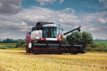 Картинка цветы магнолии ветка