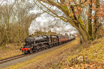 Картинка техника паровозы локомотив состав