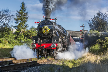 Картинка техника паровозы локомотив состав