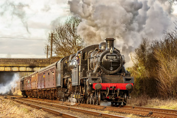 Картинка техника паровозы состав локомотив