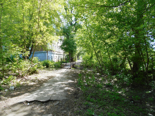 Обои картинки фото природа, лес, деревья