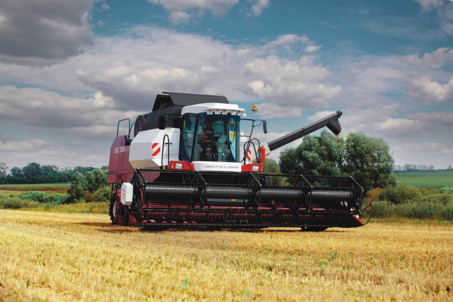 Обои картинки фото цветы, магнолии, ветка