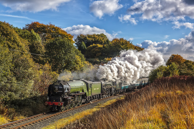 Обои картинки фото техника, паровозы, состав, локомотив