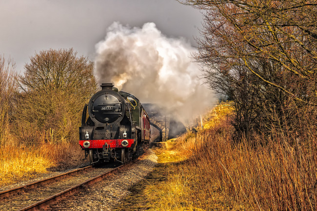 Обои картинки фото техника, паровозы, состав, локомотив