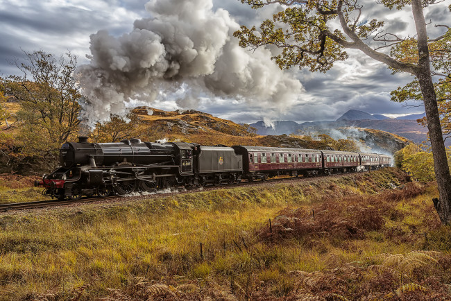 Обои картинки фото техника, паровозы, состав, локомотив