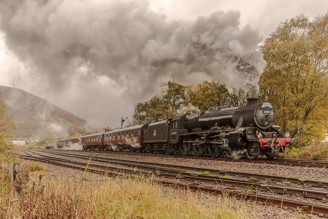 Обои картинки фото техника, паровозы, состав, локомотив