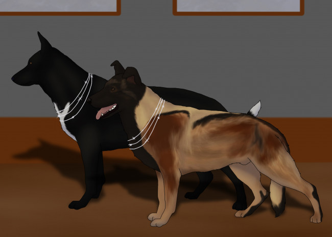 Обои картинки фото рисованное, животные,  собаки, собаки