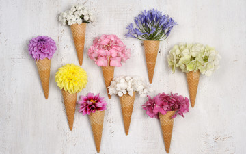 Картинка цветы разные+вместе