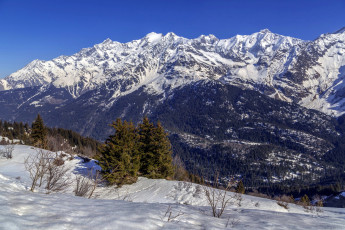 Картинка природа горы снег елки