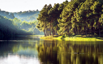 Картинка природа реки озера лето река туман