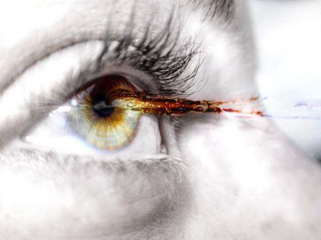 Обои картинки фото глаз, разное, глаза, зрачок, ресница