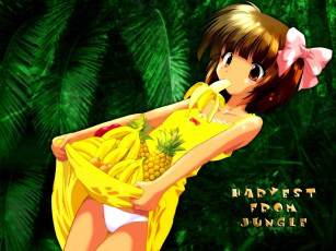 Картинка аниме *unknown другое