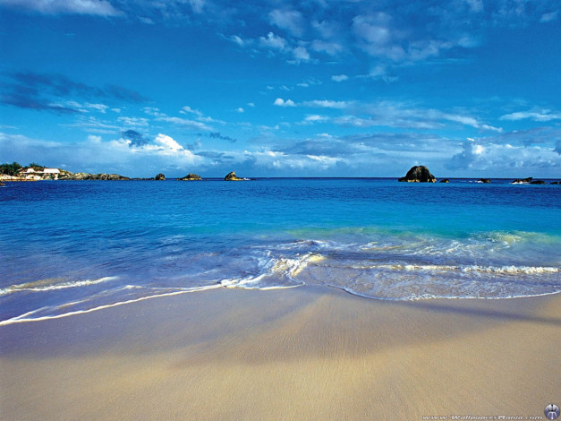 Обои картинки фото 