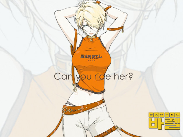 Обои картинки фото аниме, barrel