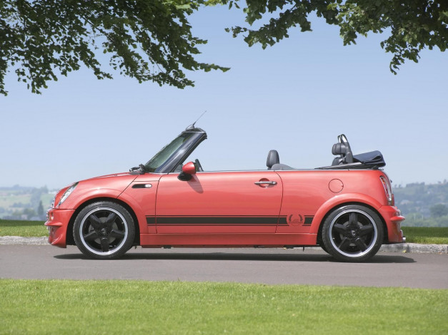 Обои картинки фото автомобили, mini