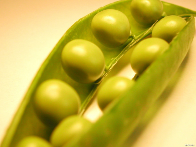 Обои картинки фото еда, бобовые