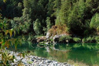 Картинка природа