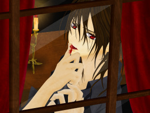 Картинка аниме vampire knight