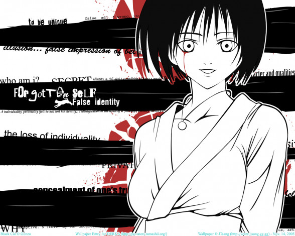 Обои картинки фото аниме, black, cat