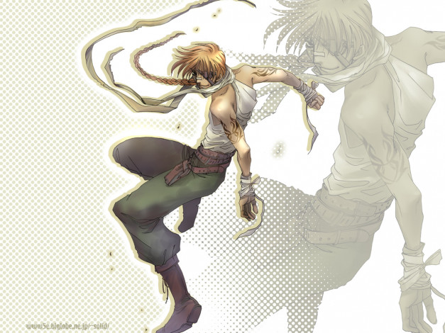 Обои картинки фото аниме, hellsing