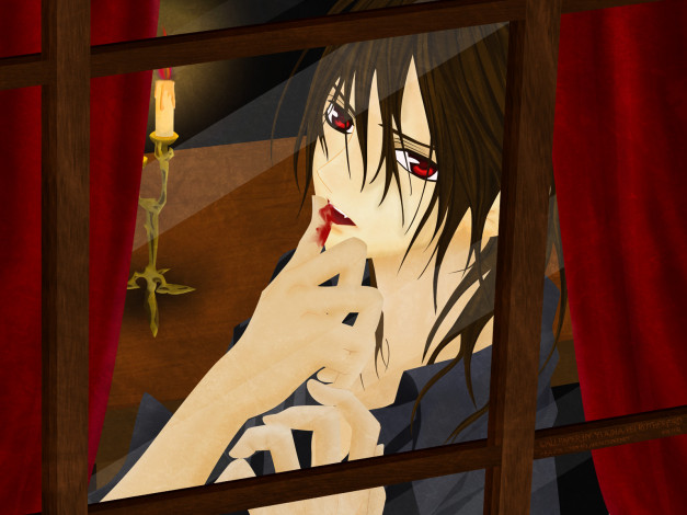 Обои картинки фото аниме, vampire, knight