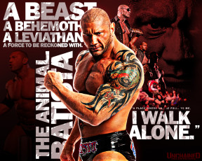 Картинка спорт wwe