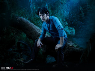 обоя true, blood, кино, фильмы