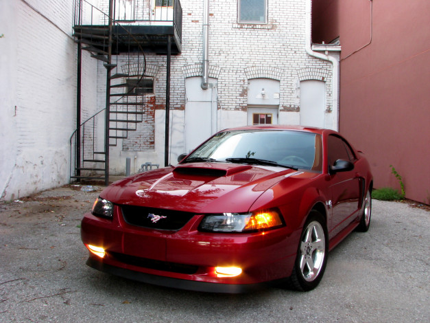 Обои картинки фото автомобили, mustang