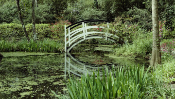 Картинка природа парк