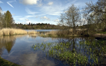 Картинка природа реки озера река деревья