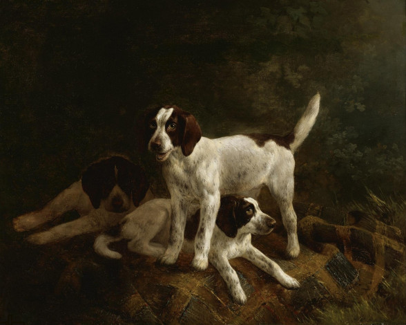 Обои картинки фото рисованные, henriette, ronner, knip, ronner-knip