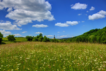 Картинка германия бенгель природа луга
