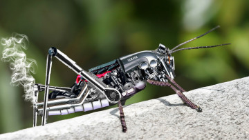 Картинка робот кузнечик бренды yamaha дым лапки усики